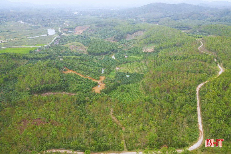 Khu vực đồi Ba Cạnh, tiểu khu 186, xã Hương Phố – nơi 24 hộ dân khai hoang, canh tác nhiều năm nay.