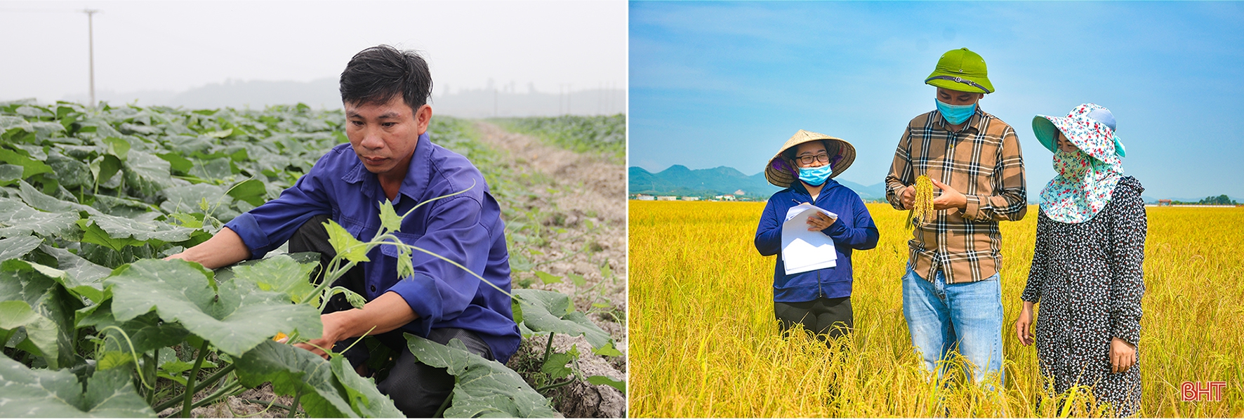 Tích tụ ruộng đất - từ chuyện những người “mê ruộng” đến khát vọng nền nông nghiệp hiện đại (bài cuối): Tư duy mới mở đường cho sản xuất hàng hóa quy mô lớn ở Hà Tĩnh