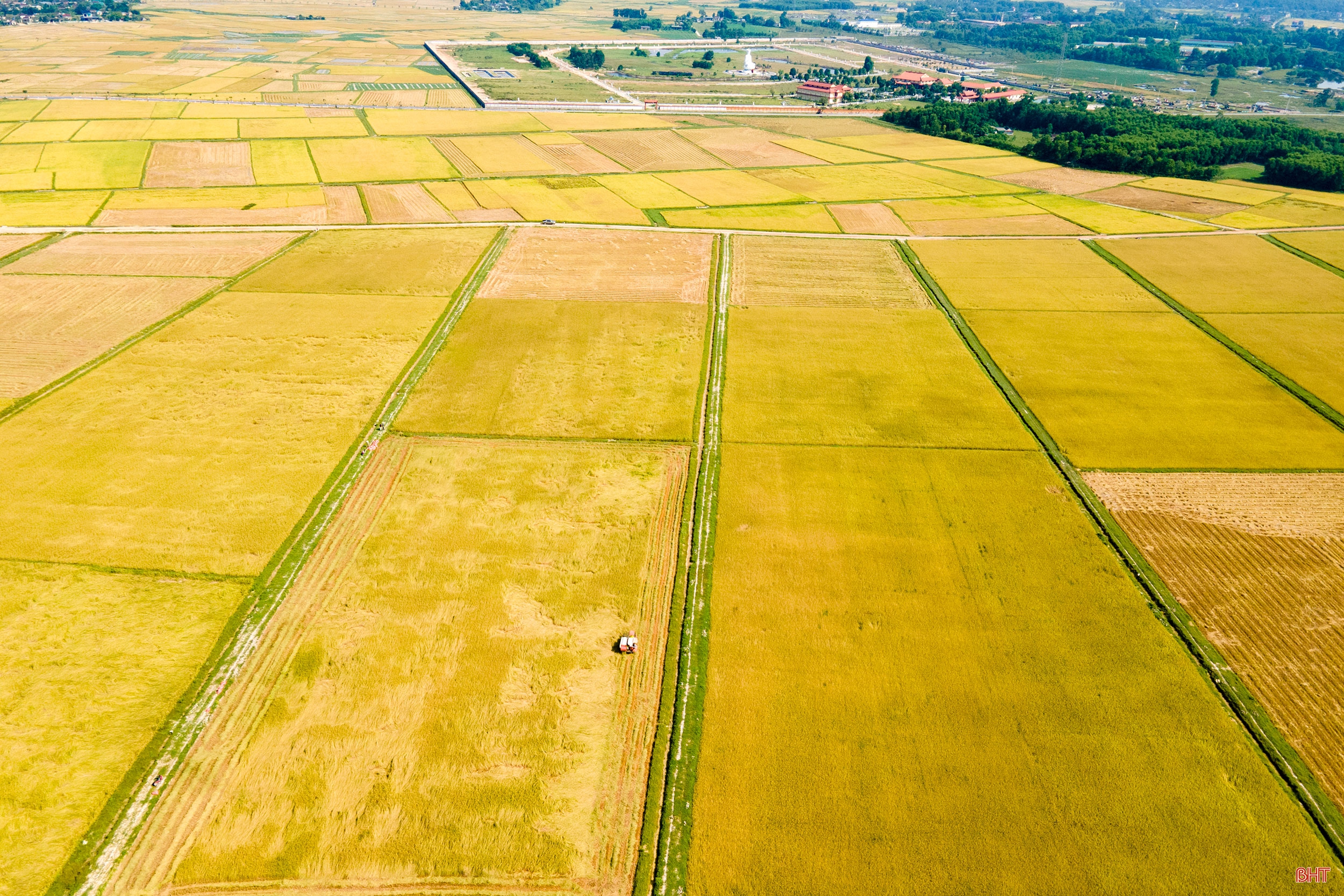 Tích tụ ruộng đất - từ chuyện những người “mê ruộng” đến khát vọng nền nông nghiệp hiện đại (bài cuối): Tư duy mới mở đường cho sản xuất hàng hóa quy mô lớn ở Hà Tĩnh