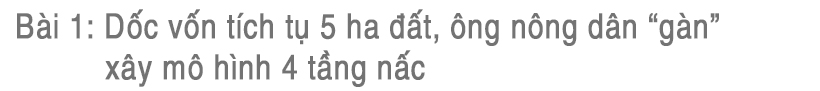 Tích tụ ruộng đất - từ chuyện những người “mê ruộng” đến khát vọng nền nông nghiệp hiện đại (bài cuối): Tư duy mới mở đường cho sản xuất hàng hóa quy mô lớn ở Hà Tĩnh