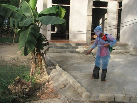 Vào cuộc phòng chống dịch sốt xuất huyết ảnh 2