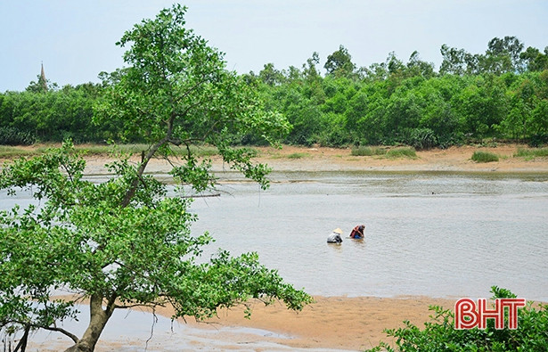 nhoc nhan bat hen muu sinh