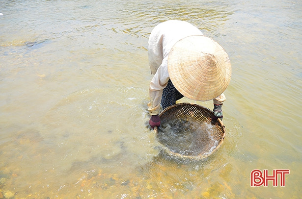 nhoc nhan bat hen muu sinh