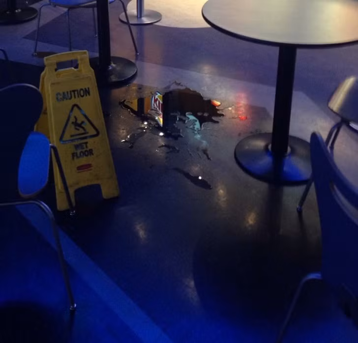 anh chung minh nhung nguoi luoi thuc su rat thong minh