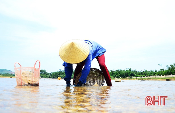 nhoc nhan bat hen muu sinh