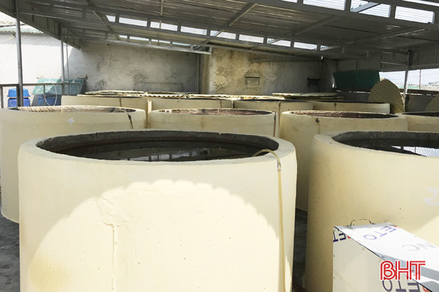 san xuat nuoc mam bang cong nghe mat troi