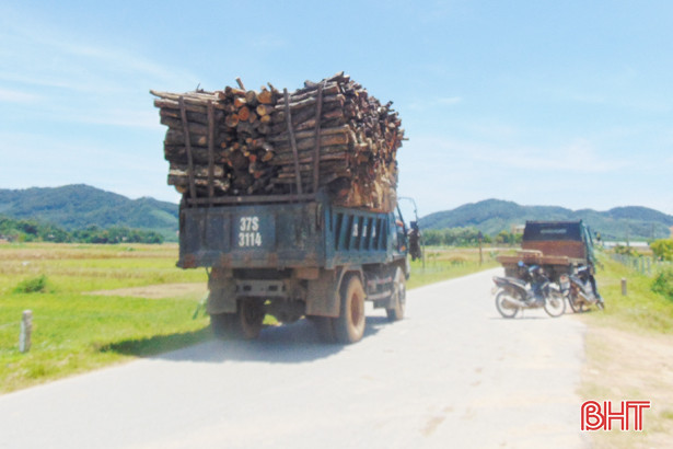 phat nhieu vi pham giao thong o huong son van pho bien