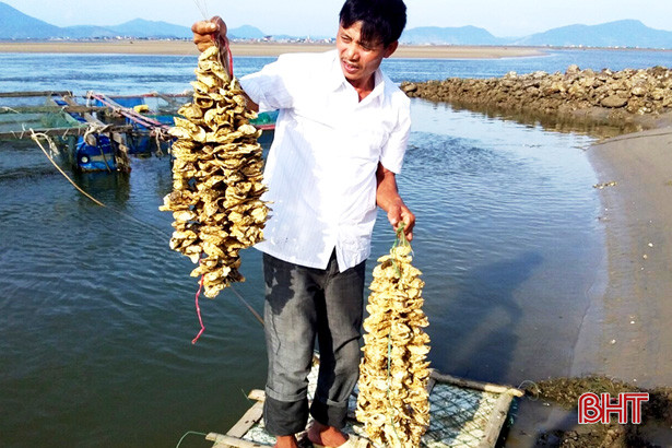 ho tro gan 30 000 hau giong cho 5 ho nuoi ky ninh