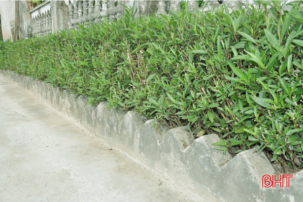 loc ha phai som xay dung mo hinh diem khu dan cu mau