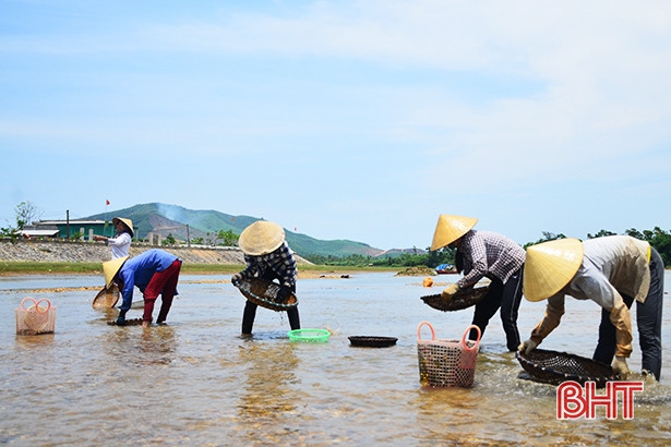 nhoc nhan bat hen muu sinh