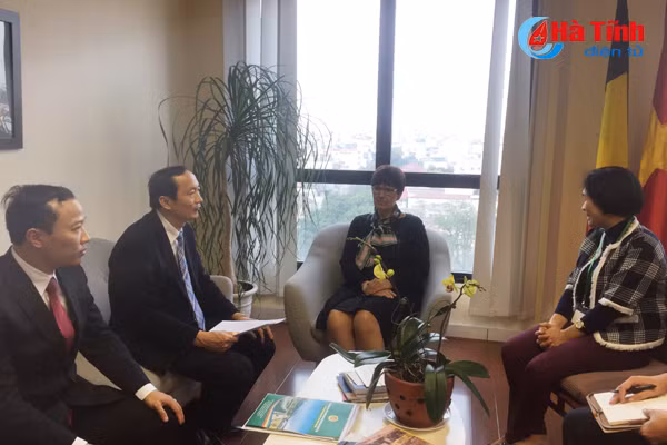 dai su cac nuoc la cau noi hop tac thu hut cac nha dau tu vao ha tinh