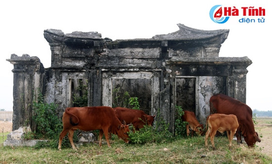 Di tích thành phế tích: Trăm năm bia đá vẫn... mòn! ảnh 2 di tich thanh phe tich tram nam bia da van mon