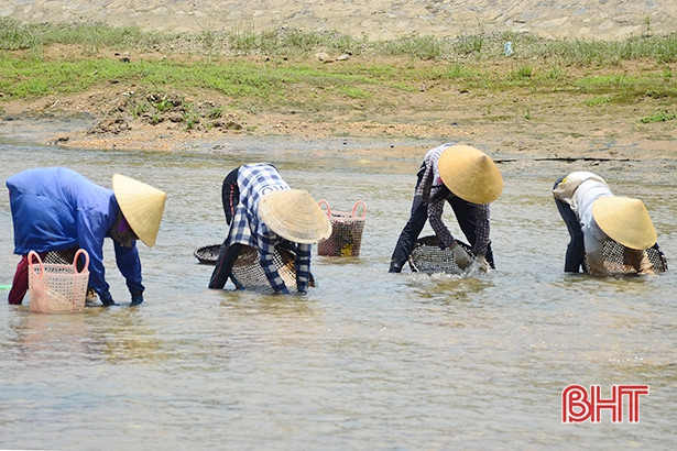 nhoc nhan bat hen muu sinh