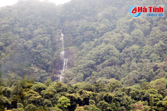 thac vu mon hon ngoc giua rung xanh