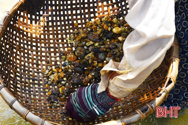 nhoc nhan bat hen muu sinh