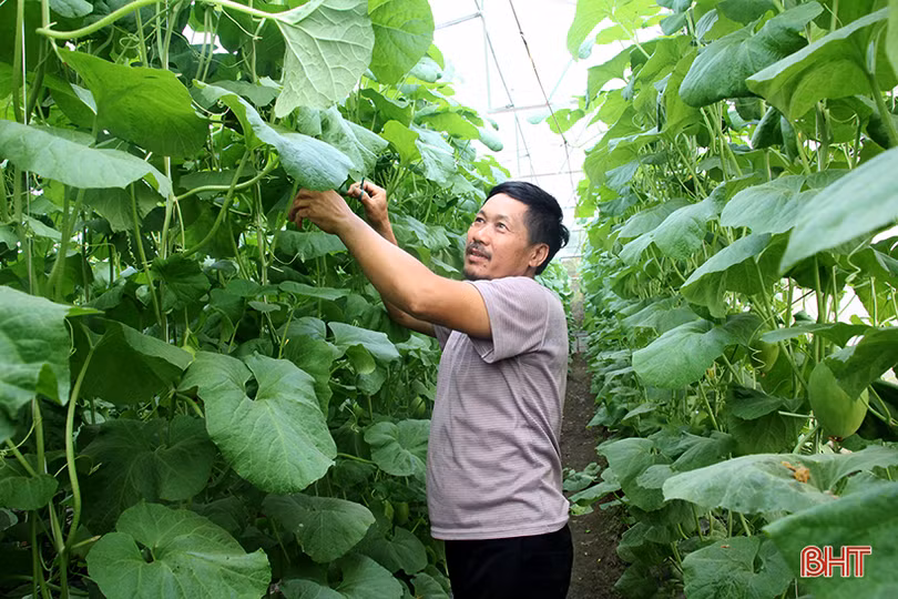 lac vao vuon dua kim hoang hau cua lao nong o bac son