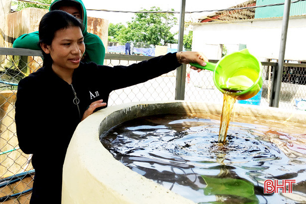 san xuat nuoc mam bang cong nghe mat troi