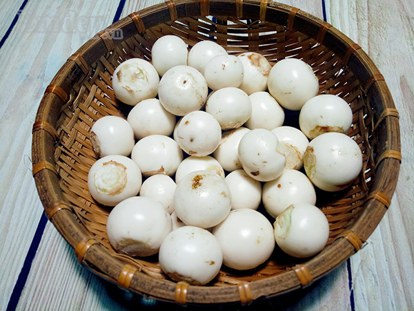 dang mua ca mach cac me them mot cach lam ca phao muoi gion ngon