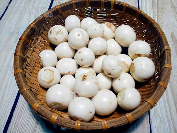 dang mua ca mach cac me them mot cach lam ca phao muoi gion ngon