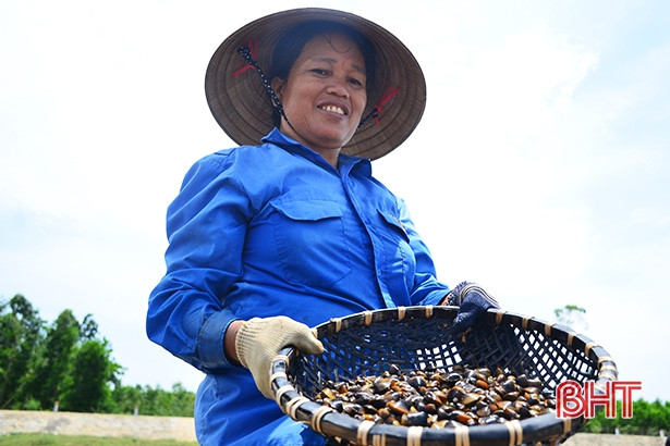 nhoc nhan bat hen muu sinh