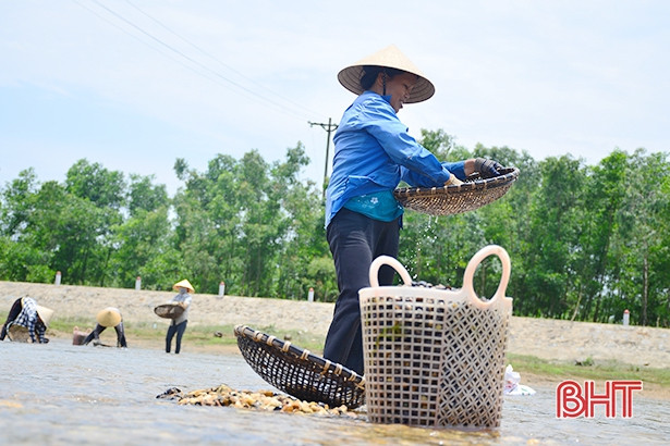 nhoc nhan bat hen muu sinh