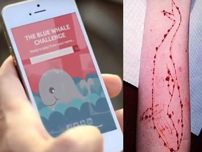 tro choi nguy hiem ca voi xanh da vao viet nam