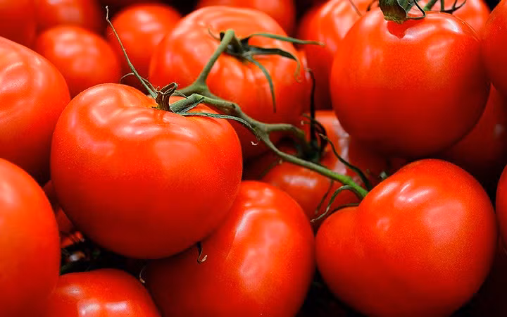 an nhieu ca chua khong tot nhu van nghi