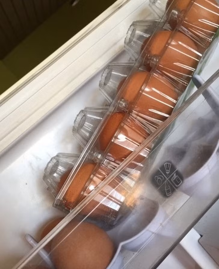 anh chung minh nhung nguoi luoi thuc su rat thong minh