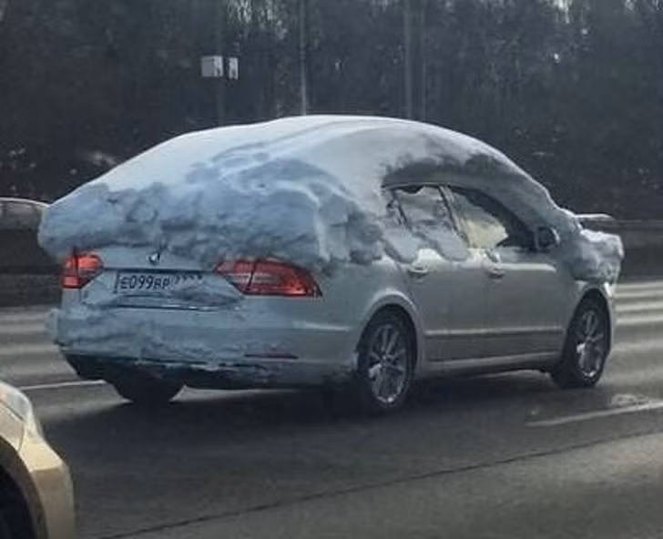 anh chung minh nhung nguoi luoi thuc su rat thong minh