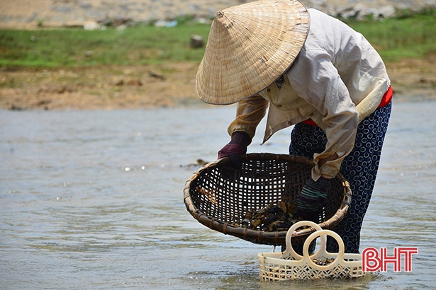 nhoc nhan bat hen muu sinh