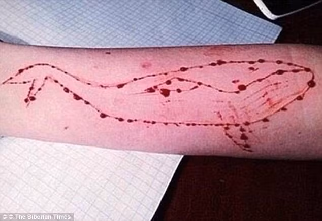 hon 100 ban tre chet vi trao luu ca voi xanh tren facebook