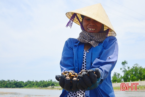 nhoc nhan bat hen muu sinh