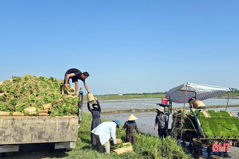 Nhờ có hệ thống giao thông nội đồng đảm bảo, các loại máy móc, cơ giới có điều kiện thuận lợi để triển khai thực hiện mô hình thâm canh lúa cải tiến trên đồng đất thôn Hà Phong.