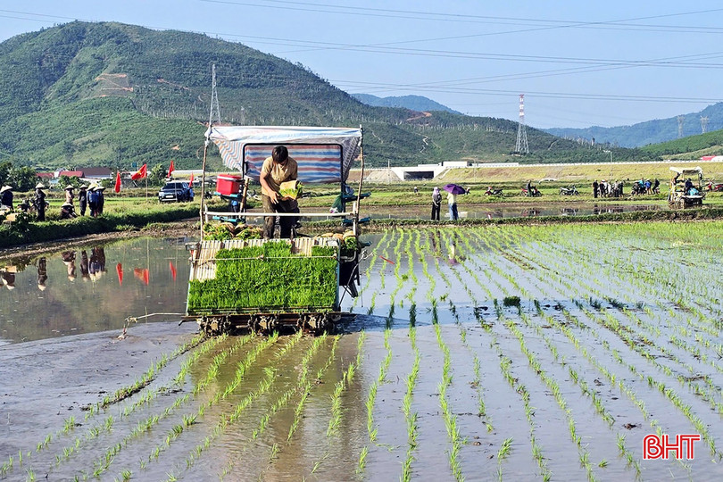 Người dân phấn khởi tham quan mô hình cấy lúa bằng máy trên cánh đồng thâm canh lúa cải tiến (SRI).