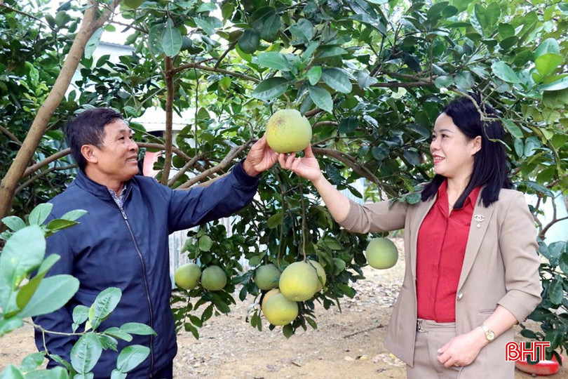 Bí thư Chi bộ tổ dân phố Đồng Tiến kiểm tra vườn mẫu gia đình ông Ngô Văn Tâm.