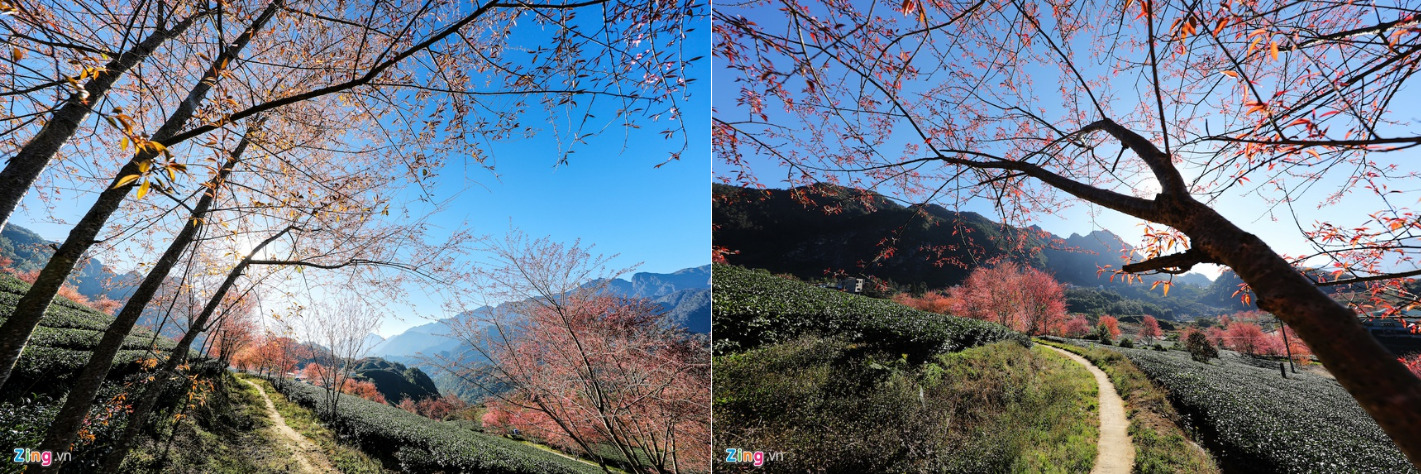 Sa Pa đẹp rực rỡ những ngày cuối năm