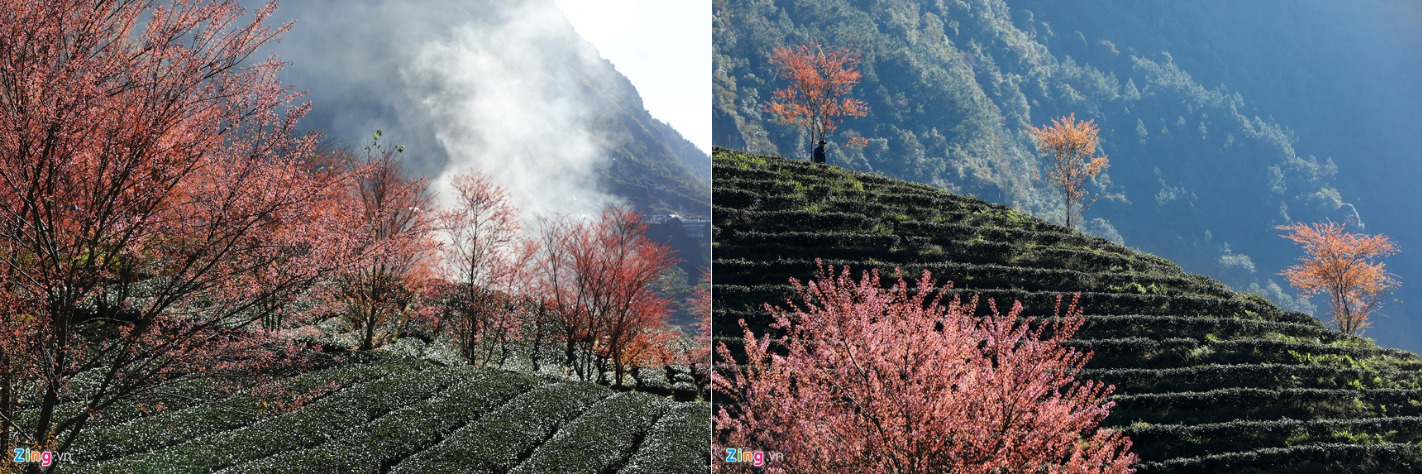 Sa Pa đẹp rực rỡ những ngày cuối năm