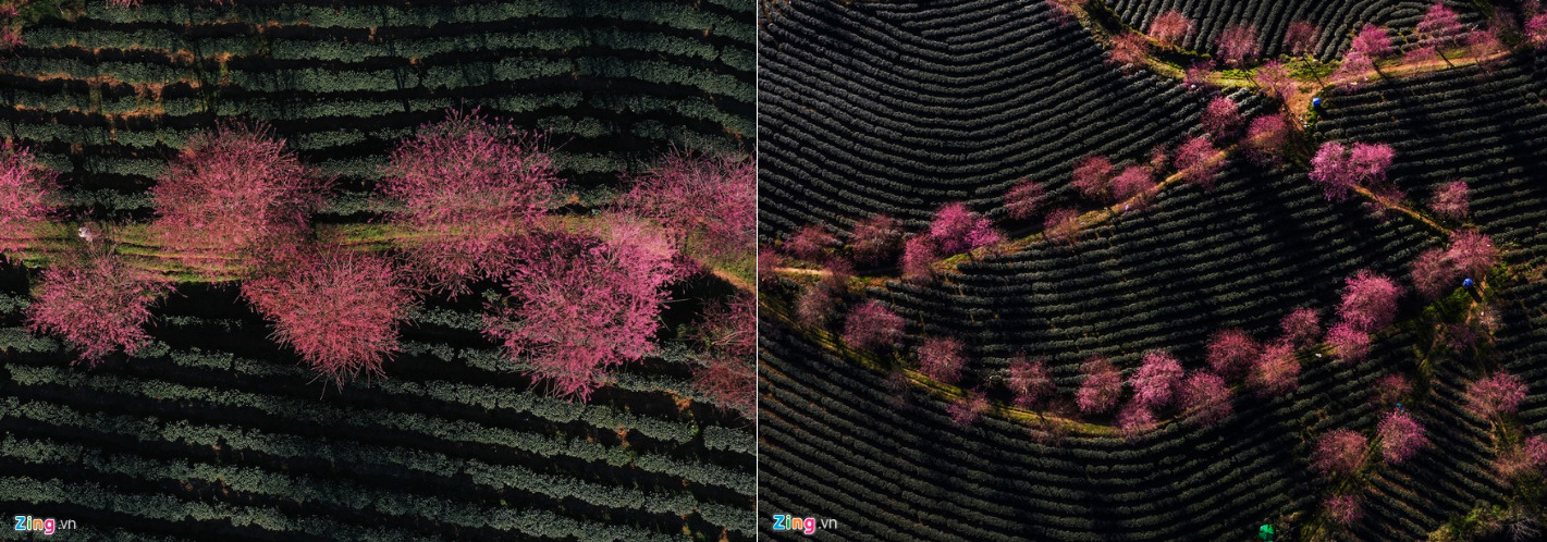 Sa Pa đẹp rực rỡ những ngày cuối năm