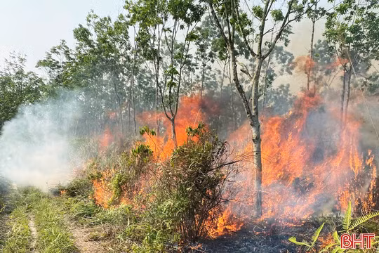 Kịp thời khống chế điểm phát lửa trên rừng cao su