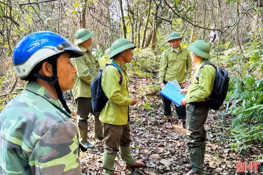 Chủ động giữ rừng ở nơi nóng nhất Hà Tĩnh