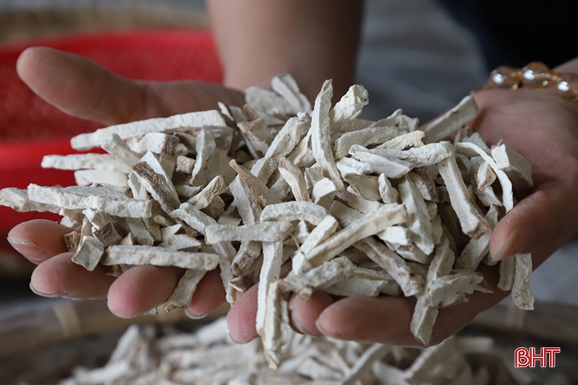 Bánh tu hú - món ăn dân dã gợi ký ức tuổi thơ của người dân Hà Tĩnh ...
