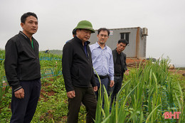 Mô hình nông nghiệp đa tầng xen canh mang lại hiệu quả kinh tế tại Kỳ Lạc