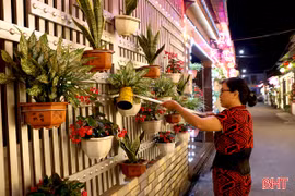 Người dân Thành Sen thi nhau làm đẹp phố phường đón Tết