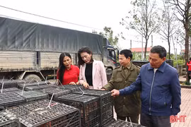 Trao sinh kế, mở cơ hội cho người dân yếu thế ở Cẩm Bình