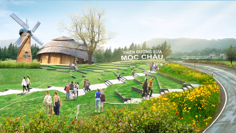 Thiên đường sữa tại Mộc Châu - kỳ quan tương lai của Tây Bắc