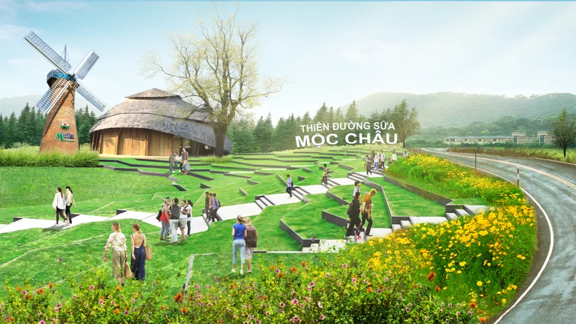 Thiên đường sữa tại Mộc Châu - kỳ quan tương lai của Tây Bắc
