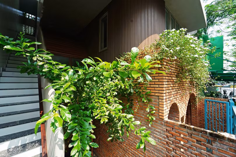 Ngôi nhà “biết thở” giữa lòng thành phố