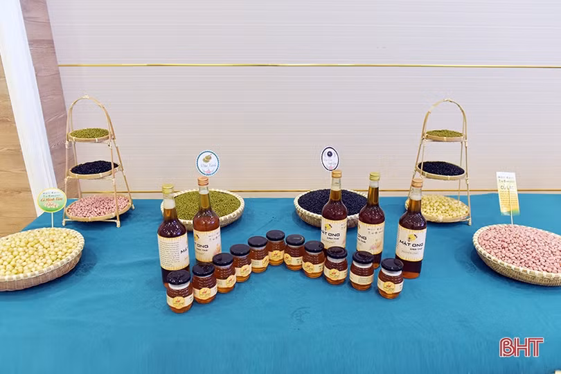 3.560 hộ dân Hà Tĩnh được hưởng lợi từ dự án hỗ trợ Việt Nam thực hiện Thỏa thuận Paris