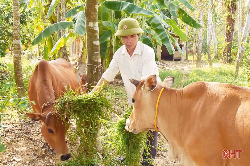 Kết nạp Đảng trong quân ngũ, bí thư chi bộ đưa thôn “rốn lũ” trở thành khu dân cư kiểu mẫu ở Hà Tĩnh