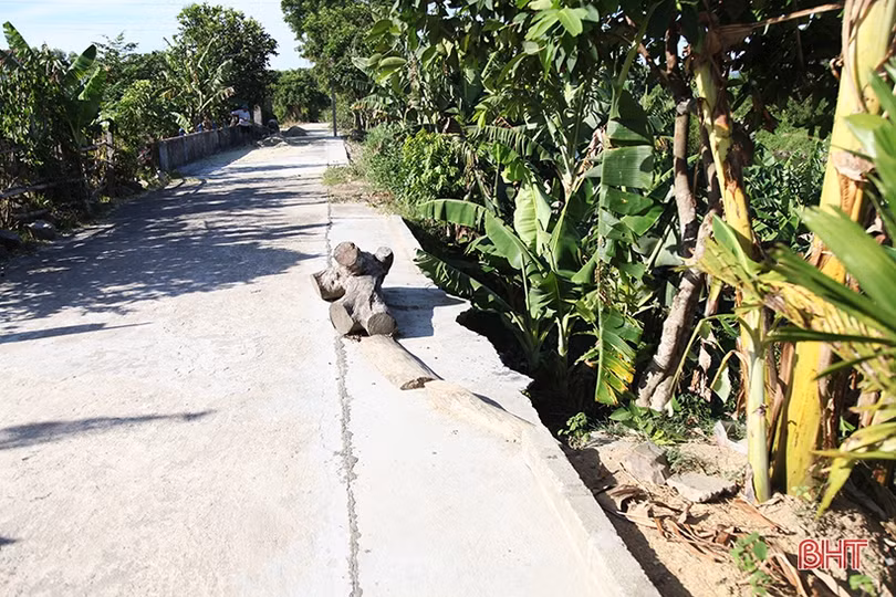 Bờ sông Rác sạt lở nghiêm trọng đe dọa hàng chục ha đất nông nghiệp ở Cẩm Xuyên